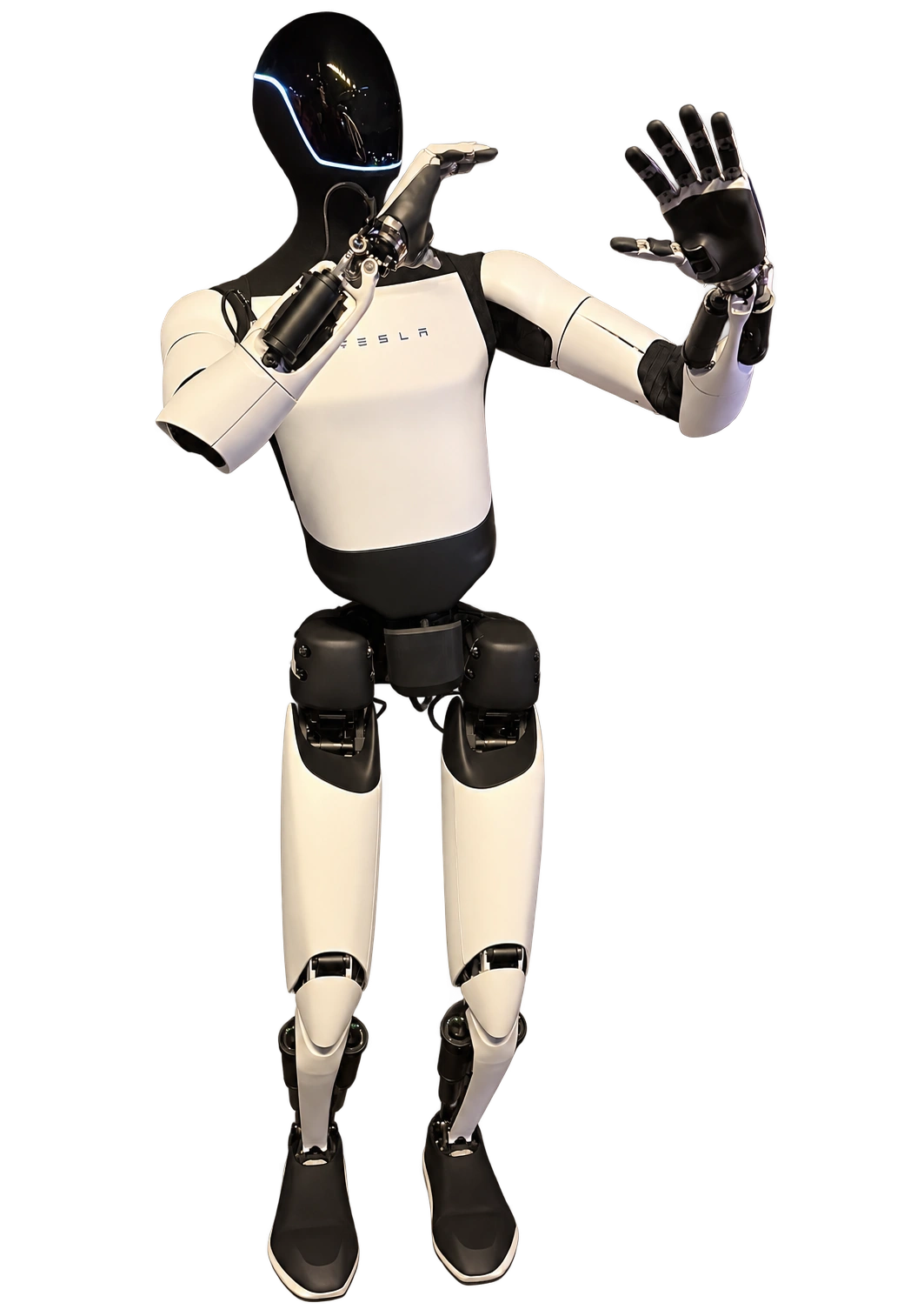 Tesla Optimus humanoid robot