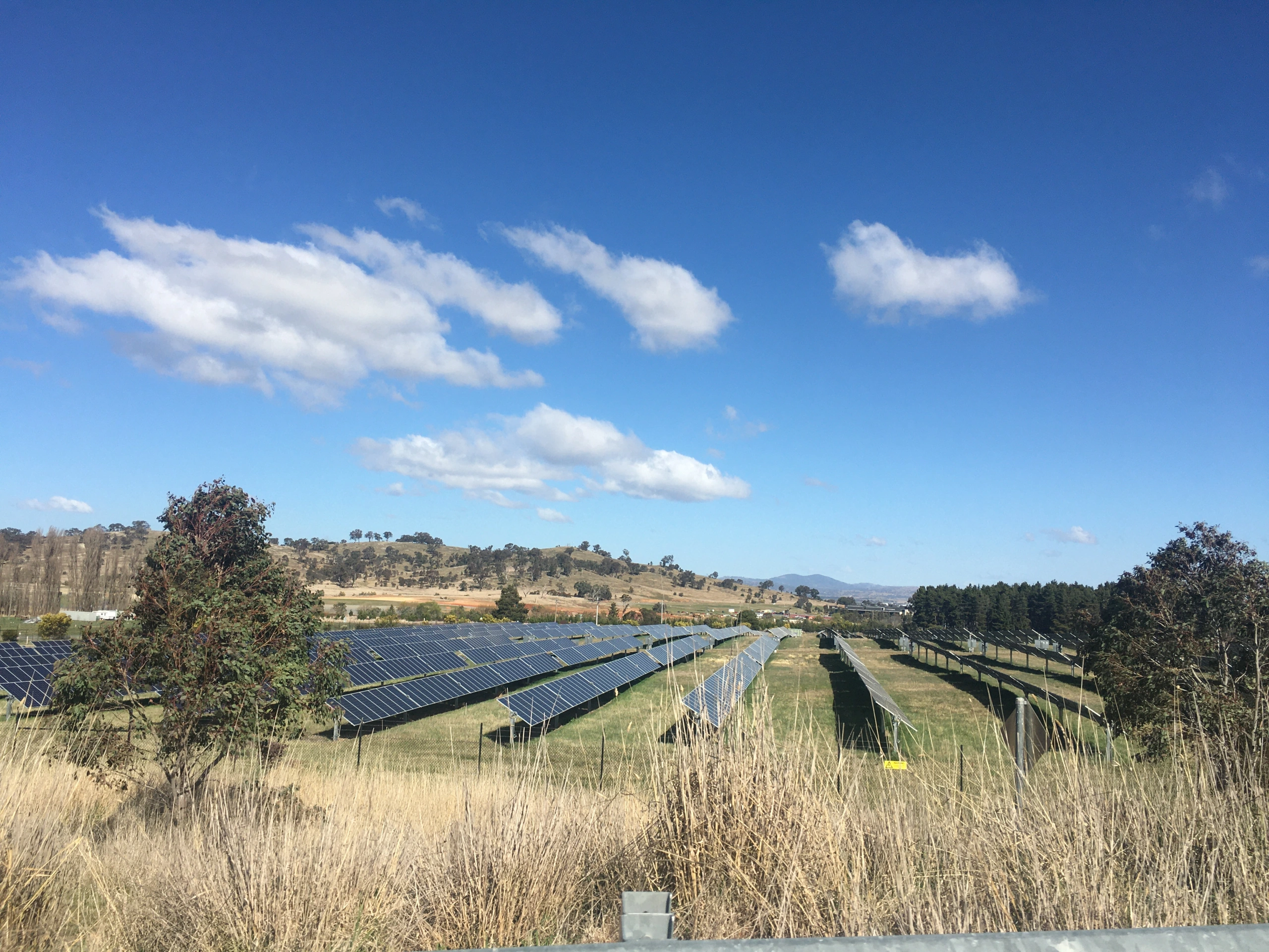 Photovoltaic panels at Mount Majura solar farm